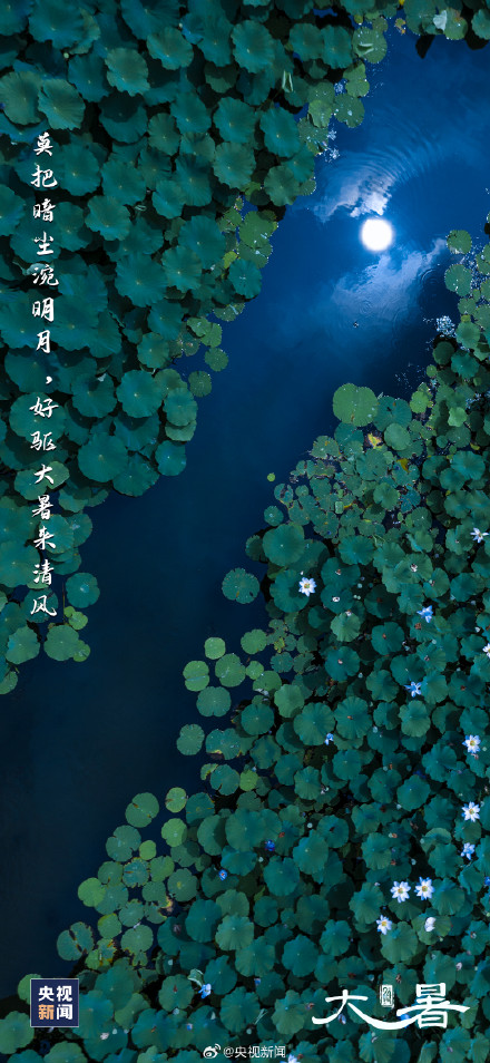 大暑至,夏正浓,全年最热的时候来了! 大暑至,夏正浓,全年最热的时候来了!