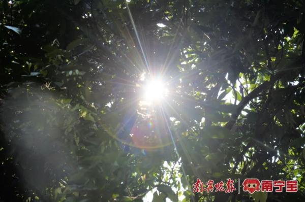 高温闷热、午后易现雷雨......“大暑”来了,广西天气有这些特征→ 高温闷热、午后易现雷雨......“大暑”来了,广西天气有这些特征→