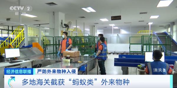 海关总署宣布:重点打击这些违法行为!多地已截获,严重或致死亡! 海关总署宣布:重点打击这些违法行为!多地已截获,严重或致死亡!