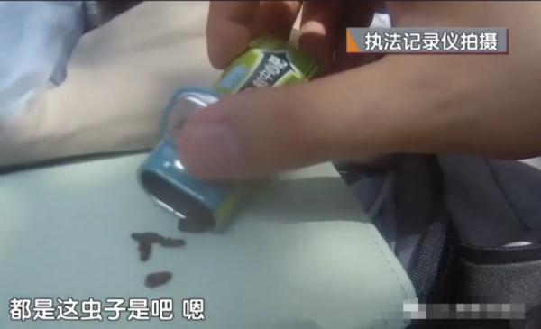 男子含着蟑螂下馆子敲诈？惊呆网友