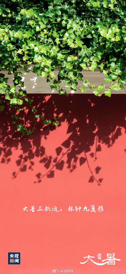 大暑至,夏正浓,全年最热的时候来了! 大暑至,夏正浓,全年最热的时候来了!