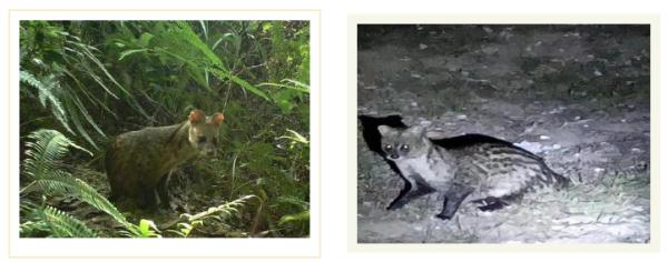 首次发现、刷新记录，广东多地有新惊喜！