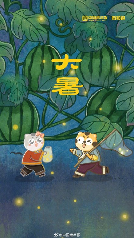 今日大暑｜“萤火照空时”，别错过夏夜的萤火和蝉鸣