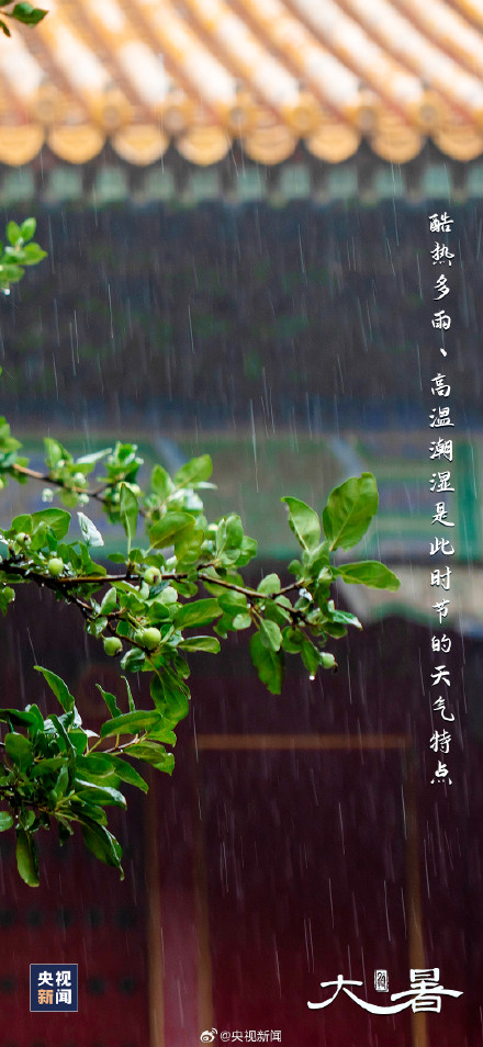 大暑至,夏正浓,全年最热的时候来了! 大暑至,夏正浓,全年最热的时候来了!