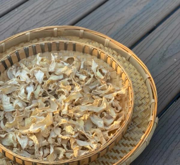 大暑节气，你“晒背”了吗？