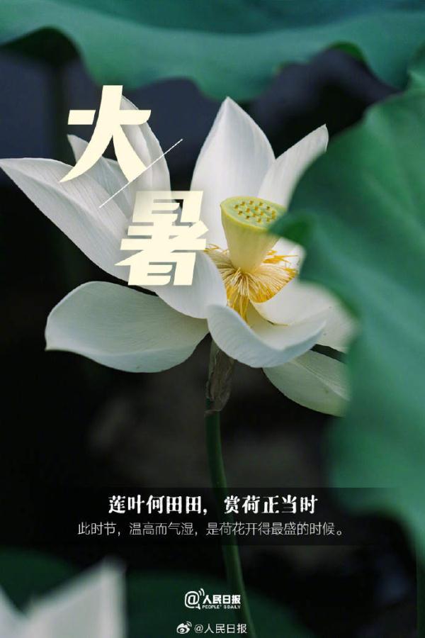 今日大暑,夏天最后一个节气 今日大暑,夏天最后一个节气