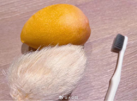 最近流行给芒果核梳毛?评论区亮了 最近流行给芒果核梳毛?评论区亮了