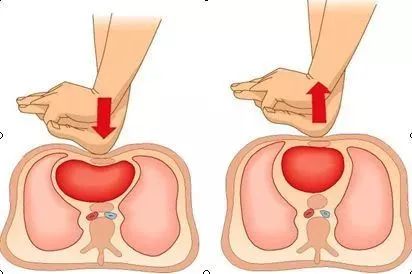 深圳近期高发，半数是孩子！