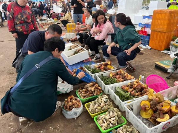 价格猛涨!最贵要卖500元/公斤 价格猛涨!最贵要卖500元/公斤