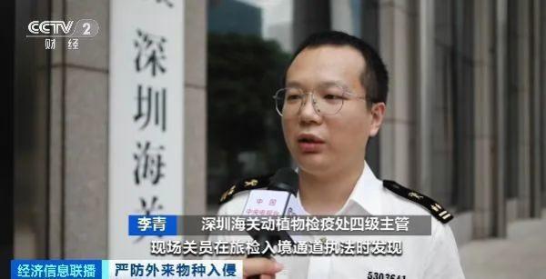 海关总署宣布:重点打击这些违法行为!多地已截获,严重或致死亡! 海关总署宣布:重点打击这些违法行为!多地已截获,严重或致死亡!