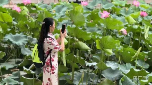 记者调查“云南有旅行社禁记者律师参团”，时间久矣不只云南