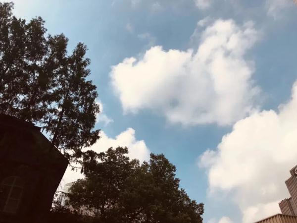 台风“杜苏芮”升级！预计可达强台风级或超强台风级！或将在这里登陆→