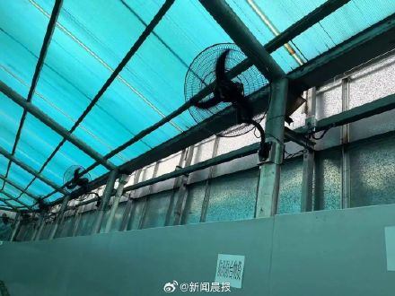 最新！上海宜山路地铁换乘大棚凉快了