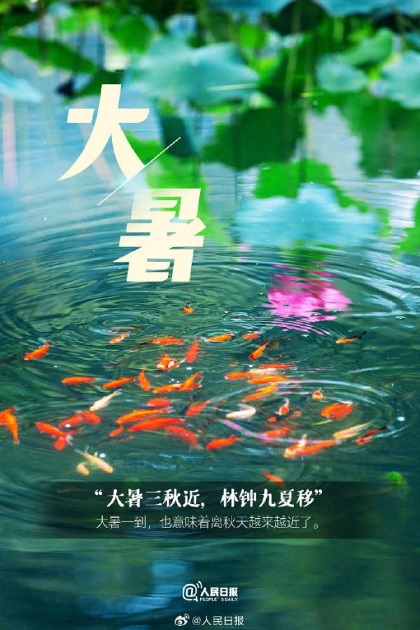 今日大暑,夏天最后一个节气 今日大暑,夏天最后一个节气