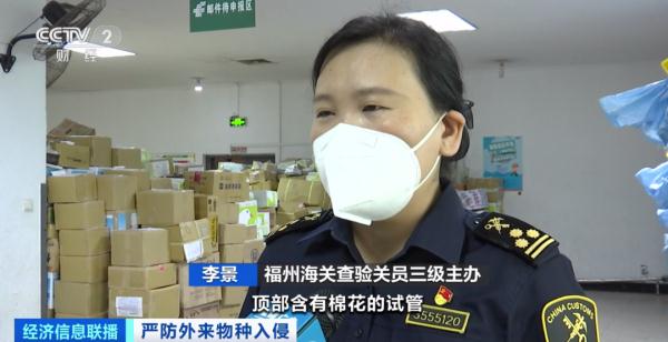 多地已截获“蚂蚁类”外来物种！官方将重点打击