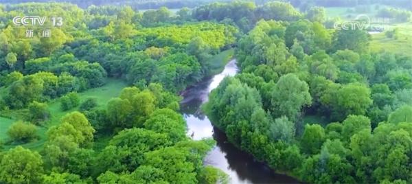 我国林草资源总量稳步增加 多种技术手段提升监测精准化程度 我国林草资源总量稳步增加 多种技术手段提升监测精准化程度