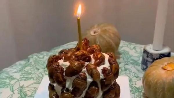 刚吃完“知了猴面包”,“知了猴生日蛋糕”又来了 刚吃完“知了猴面包”,“知了猴生日蛋糕”又来了