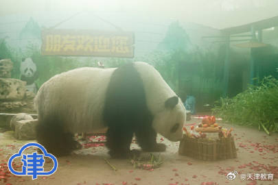 八里台二公主喜乐十岁生日“一眨眼,孩子就长大啦!” 八里台二公主喜乐十岁生日“一眨眼,孩子就长大啦!”