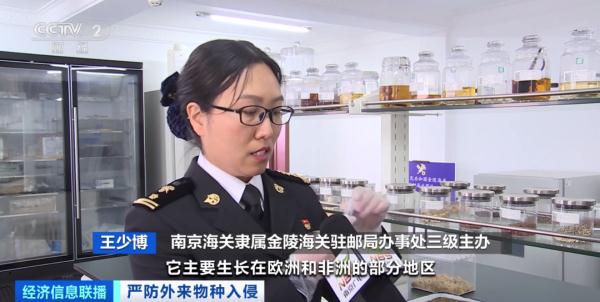 多地已截获“蚂蚁类”外来物种！官方将重点打击