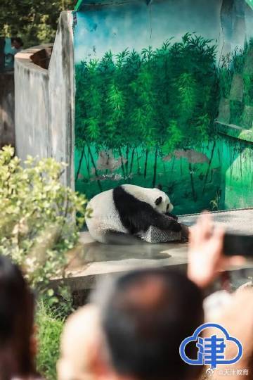 八里台二公主喜乐十岁生日“一眨眼,孩子就长大啦!” 八里台二公主喜乐十岁生日“一眨眼,孩子就长大啦!”