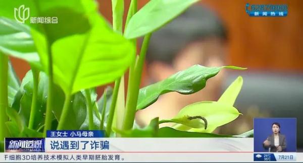 23岁海归称遭遇诈骗随即神秘失踪，被发现时正只身前往泰国……