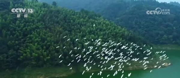 全国森林资源管理“一张图” 多手段提升数据精准化库监测 全国森林资源管理“一张图” 多手段提升数据精准化库监测