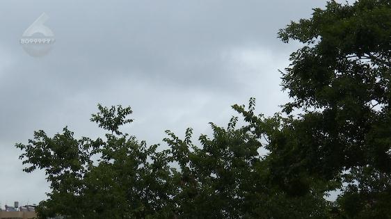 大暑在昆明穿羽绒服?接下来…… 大暑在昆明穿羽绒服?接下来……