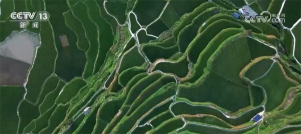 我国林草资源总量稳步增加 多种技术手段提升监测精准化程度 我国林草资源总量稳步增加 多种技术手段提升监测精准化程度