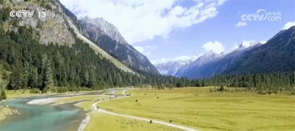 我国林草资源总量稳步增加 多种技术手段提升监测精准化程度 我国林草资源总量稳步增加 多种技术手段提升监测精准化程度