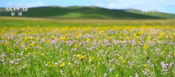 我国林草资源总量稳步增加 多种技术手段提升监测精准化程度 我国林草资源总量稳步增加 多种技术手段提升监测精准化程度
