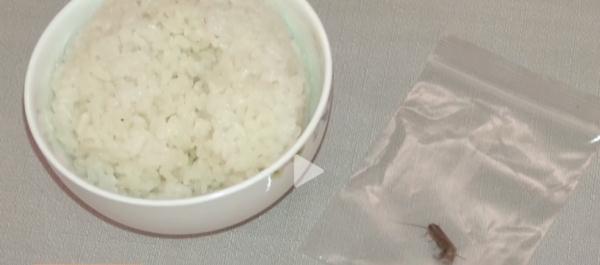 太狠了！男子口含蟑螂敲诈商家，拘！