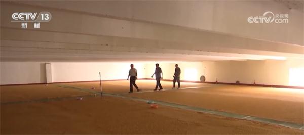 提效率、降损耗、增渠道 今年夏粮收购市场亮点频现 提效率、降损耗、增渠道 今年夏粮收购市场亮点频现