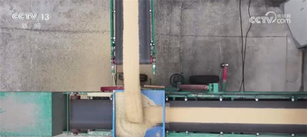 提效率、降损耗、增渠道 今年夏粮收购市场亮点频现 提效率、降损耗、增渠道 今年夏粮收购市场亮点频现