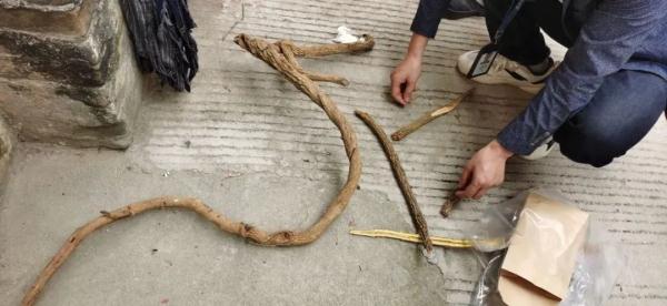 广东有人误食后死亡!此物剧毒,极易与煲汤料混淆……紧急提醒→ 广东有人误食后死亡!此物剧毒,极易与煲汤料混淆……紧急提醒→