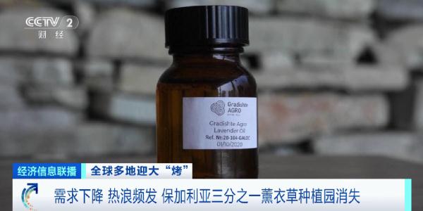 需求下降、热浪频发 保加利亚三分之一薰衣草种植园消失 需求下降、热浪频发 保加利亚三分之一薰衣草种植园消失