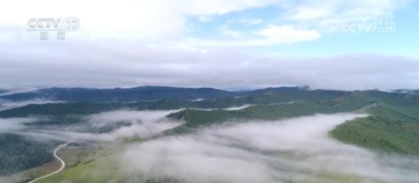 全国森林资源管理“一张图” 多手段提升数据精准化库监测 全国森林资源管理“一张图” 多手段提升数据精准化库监测