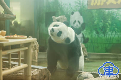 八里台二公主喜乐十岁生日“一眨眼,孩子就长大啦!” 八里台二公主喜乐十岁生日“一眨眼,孩子就长大啦!”