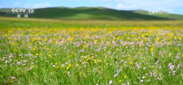 全国森林资源管理“一张图” 多手段提升数据精准化库监测 全国森林资源管理“一张图” 多手段提升数据精准化库监测