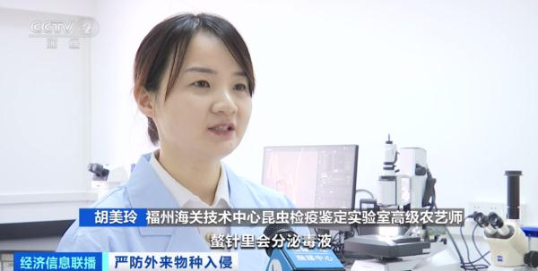 多地已截获“蚂蚁类”外来物种！官方将重点打击