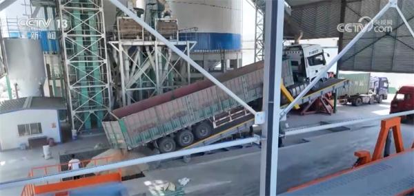 提效率、降损耗、增渠道 今年夏粮收购市场亮点频现 提效率、降损耗、增渠道 今年夏粮收购市场亮点频现