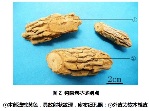 广东最新通报：死亡1例！这类东西，别吃！