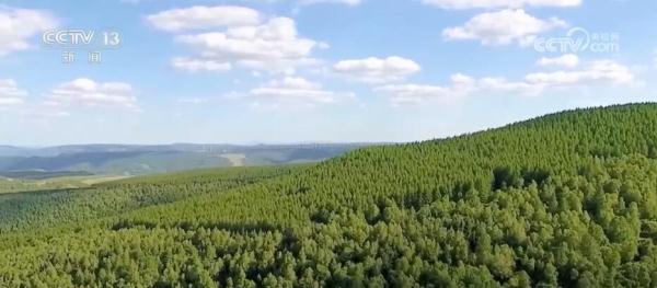 全国森林资源管理“一张图” 多手段提升数据精准化库监测 全国森林资源管理“一张图” 多手段提升数据精准化库监测