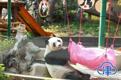 八里台二公主喜乐十岁生日“一眨眼,孩子就长大啦!” 八里台二公主喜乐十岁生日“一眨眼,孩子就长大啦!”