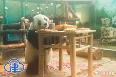 八里台二公主喜乐十岁生日“一眨眼,孩子就长大啦!” 八里台二公主喜乐十岁生日“一眨眼,孩子就长大啦!”