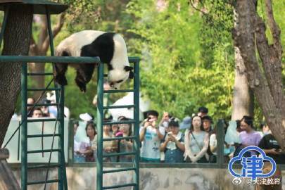 八里台二公主喜乐十岁生日“一眨眼,孩子就长大啦!” 八里台二公主喜乐十岁生日“一眨眼,孩子就长大啦!”