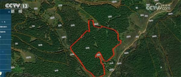 我国林草资源总量稳步增加 多种技术手段提升监测精准化程度 我国林草资源总量稳步增加 多种技术手段提升监测精准化程度