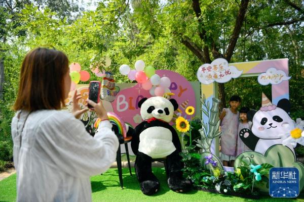 大熊猫“喜乐”迎来10岁生日