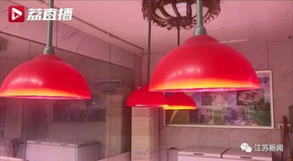 市场监管总局发布新规：不得用“生鲜灯”误导消费者
