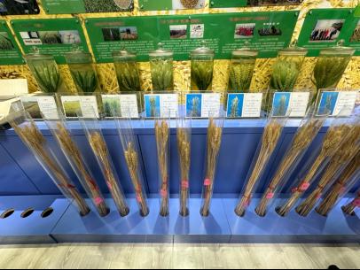 【高质量发展调研行】山东济南：高端化、智能化、绿色化发展