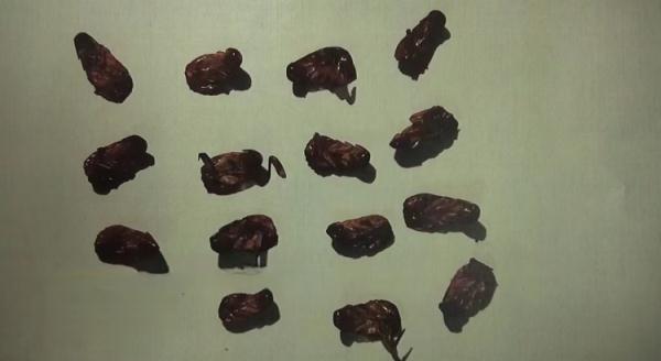 男子多次“含蟑螂”下馆子,要求商家十倍赔偿…警方:拘! 男子多次“含蟑螂”下馆子,要求商家十倍赔偿…警方:拘!